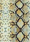 Auspuff-Styling Cover (Endschalld�mpferfolie) Dekor Snake