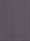 Auspuff-Styling Cover (Endschalld�mpferfolie) Dekor Carbon