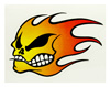 Bild vom Artikel Sticker (10 cm x 12 cm) Motiv -Fire Head-